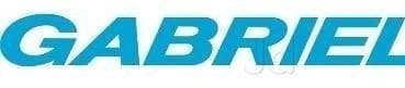 Gabriel India logo
