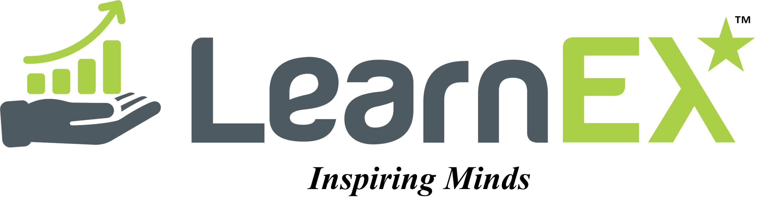 LearnEX Consulting — Building Capability